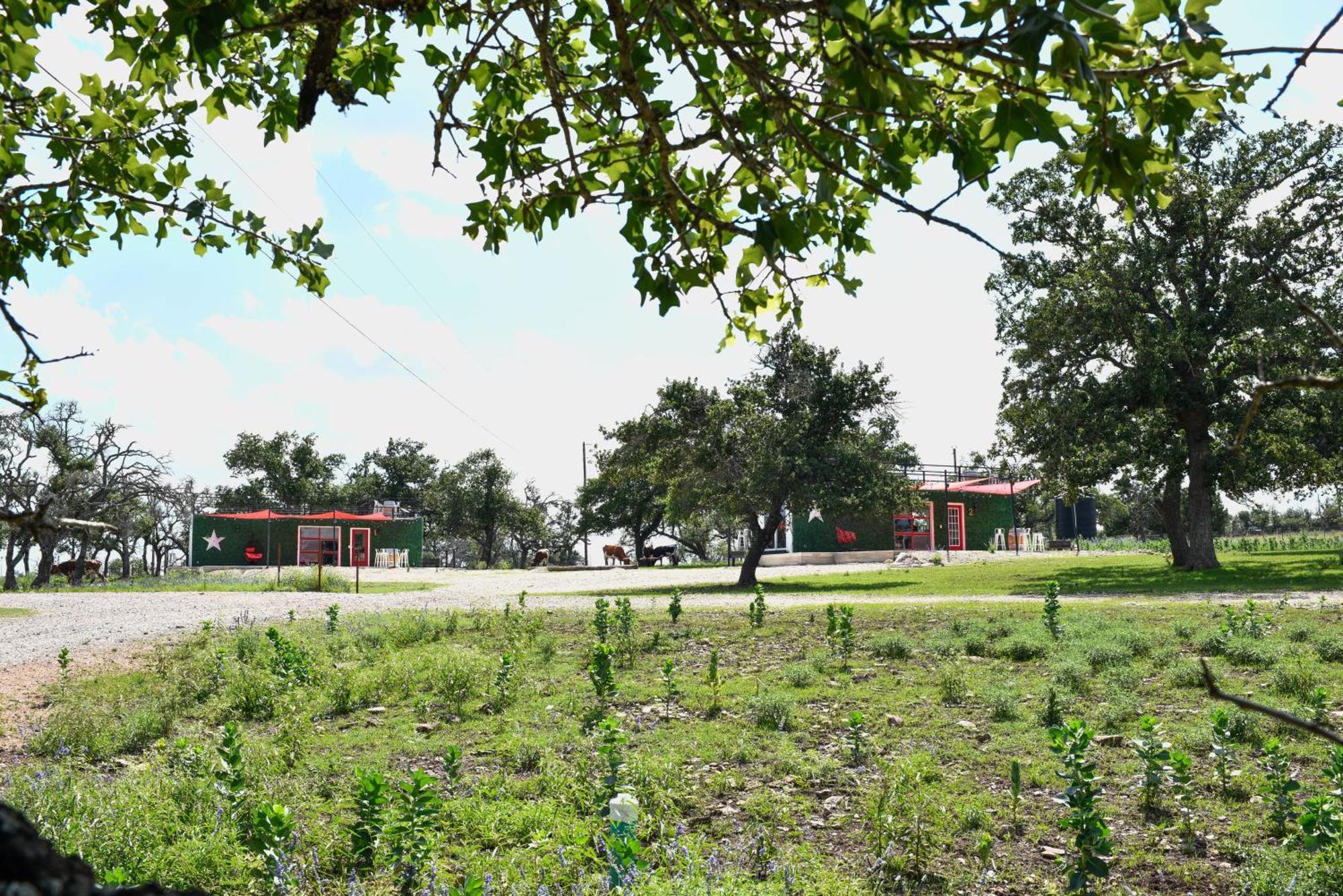 Best Little Fredericksburg Texas Bed And Breakfast Exterior foto