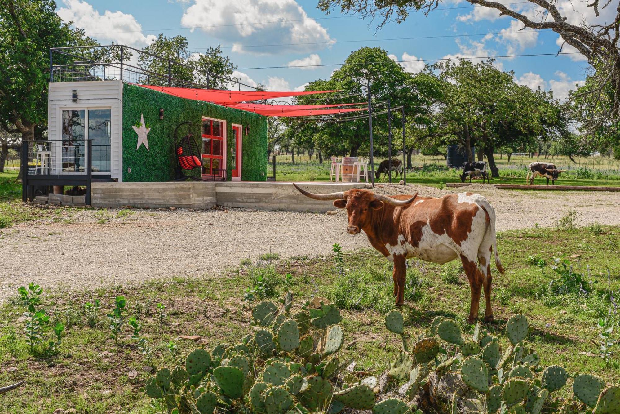 Best Little Fredericksburg Texas Bed And Breakfast Exterior foto