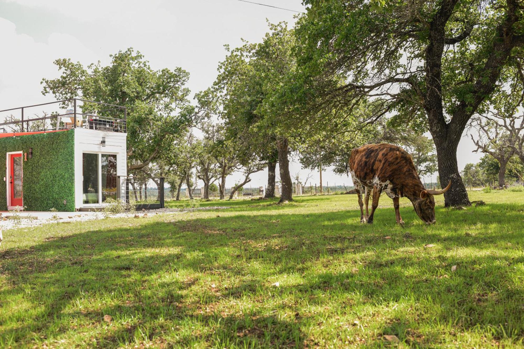 Best Little Fredericksburg Texas Bed And Breakfast Exterior foto