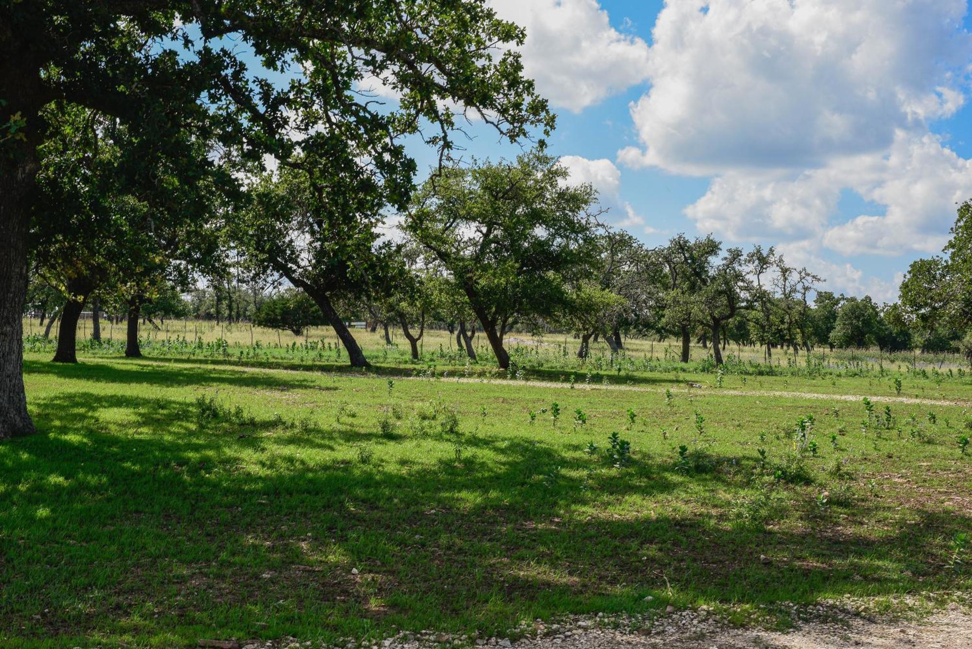 Best Little Fredericksburg Texas Bed And Breakfast Exterior foto